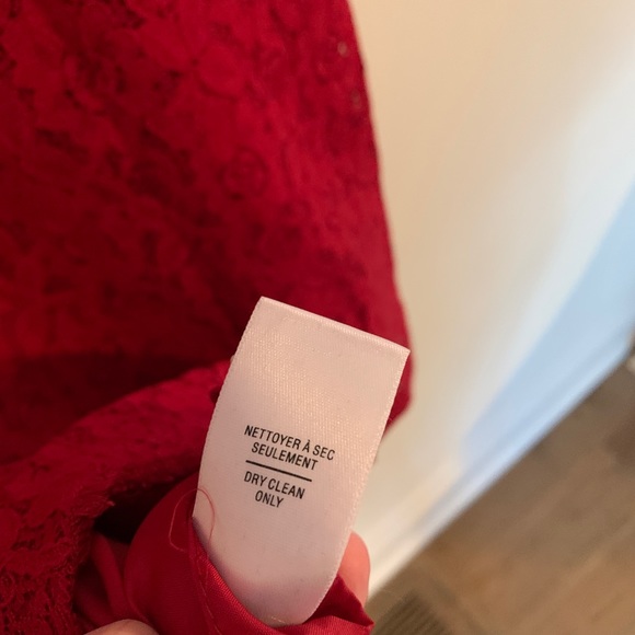 Lace Cocktail/Shift Dress - Picture 6 of 7